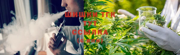 индика Краснослободск
